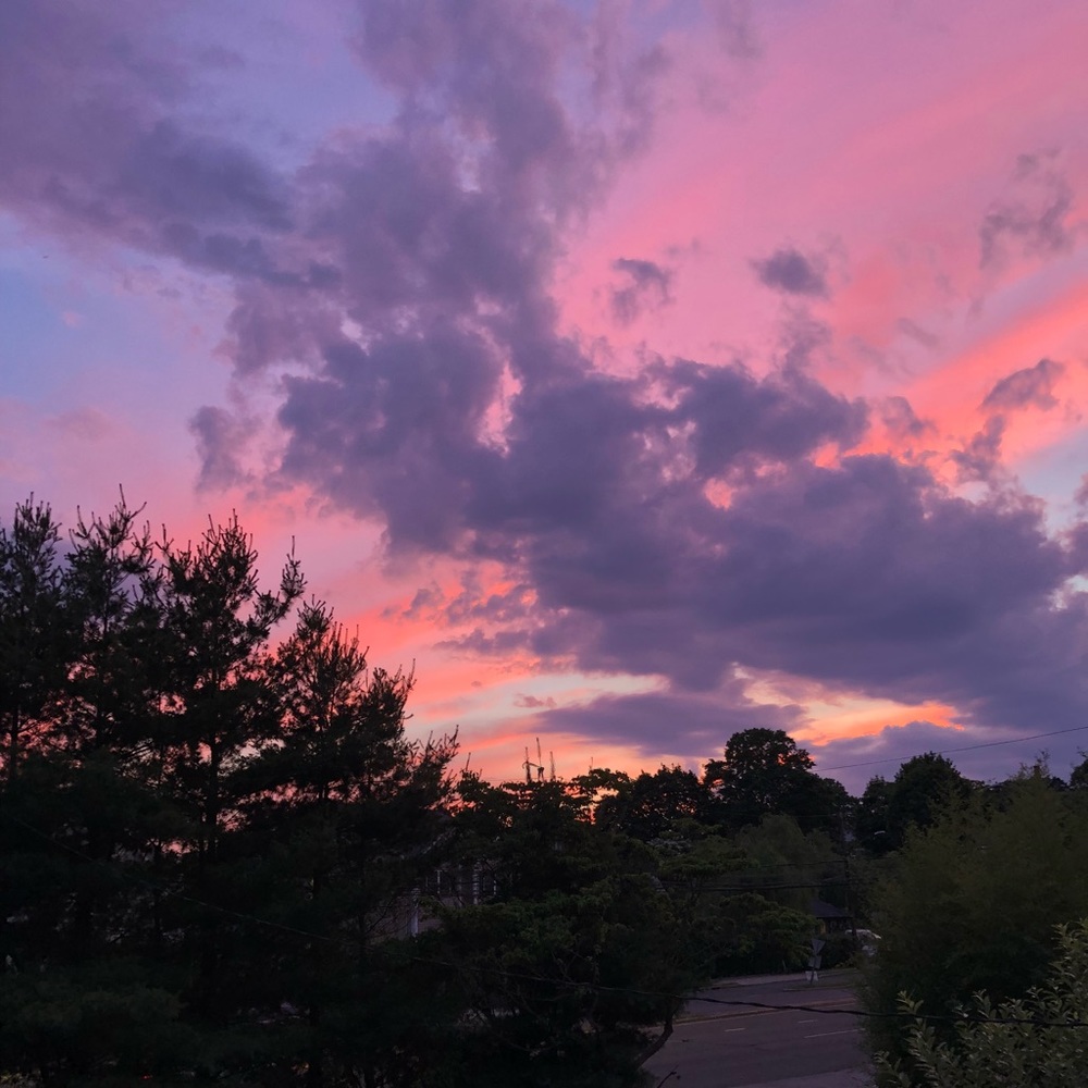 Meet your Posher, Shantell